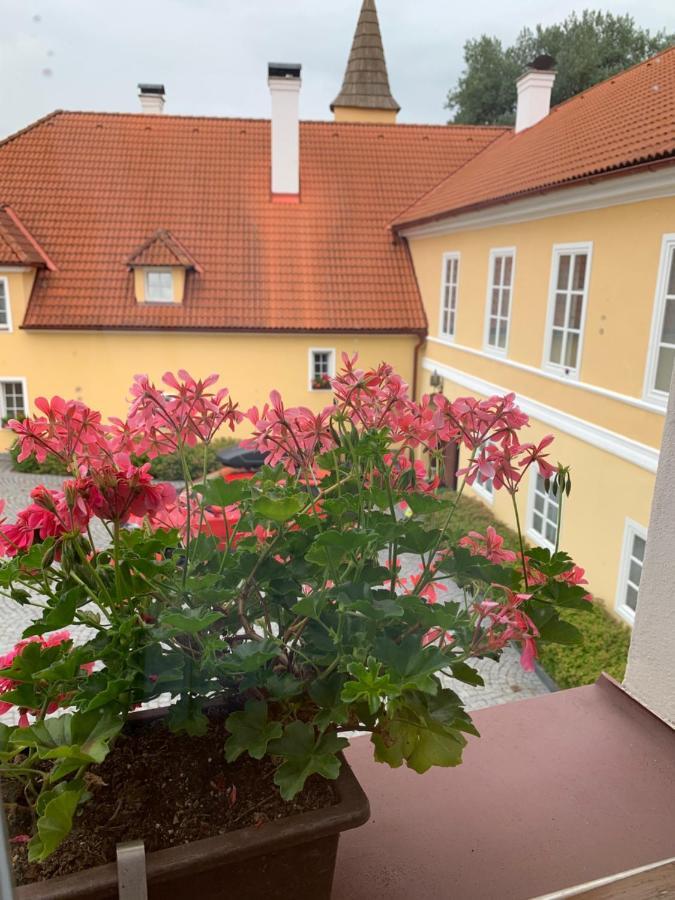 Отель Zamek Jindrichovice Kolinec Экстерьер фото